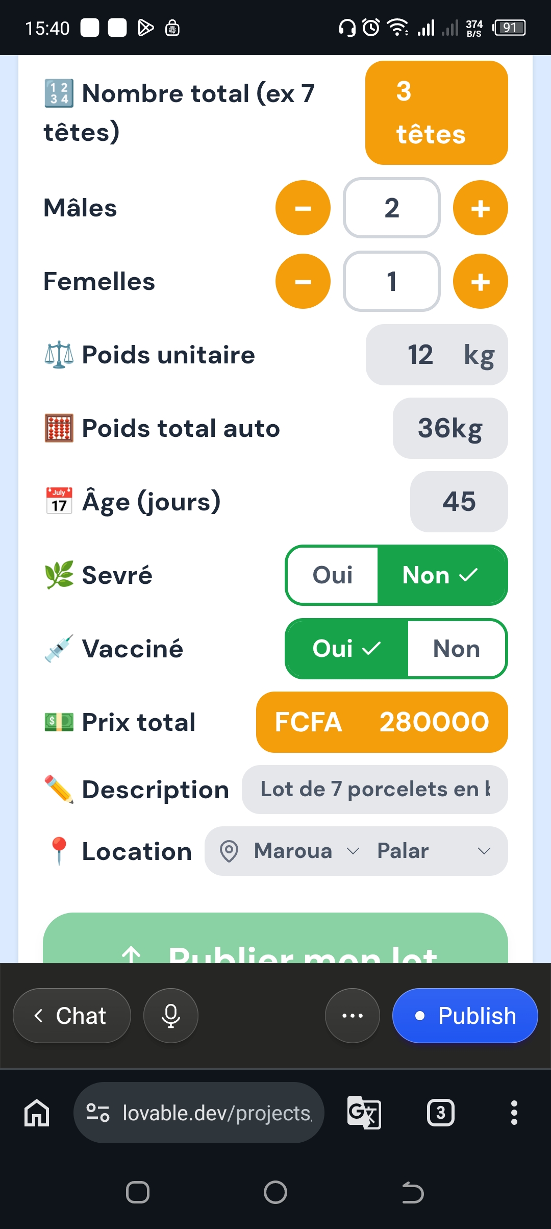 Piétrain à Bangangté